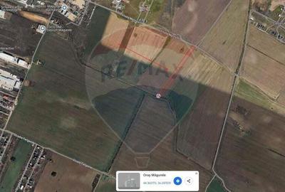 Teren de 4600 mp, în Măgurele - 6