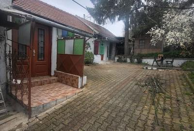 Casă cu 3 camere în Vinerea - 2