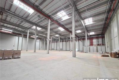 Hala industrialaTimisoara , 2500 mp, Calea Lugojului - 5