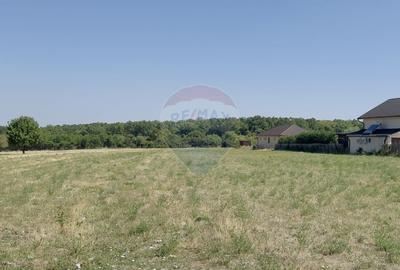 Teren 2,841mp Apateu / Strada Principala langa Biserica Ortodoxa - 10