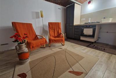 Armonie intre rustic si modern, complet renovat, zona Centrala, Brasov - 17