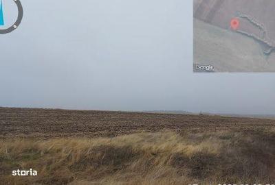 Teren de 10000 mp, în Tâmna - 3