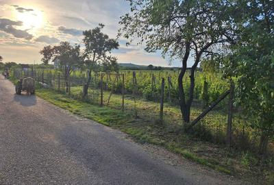 Spațiu comercial, în Valea Largă - 1