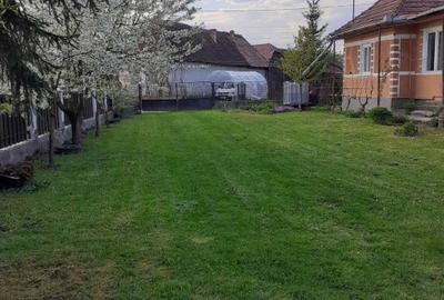 Casă individuală cu 4 camere cu Teren 2900 Mp în Vărgata - 4