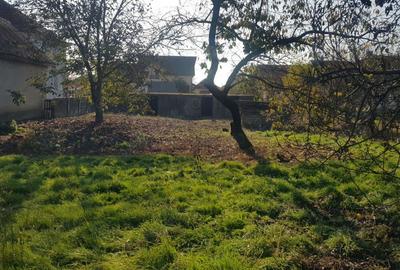 Teren de 840 mp, în Odoreu - 3