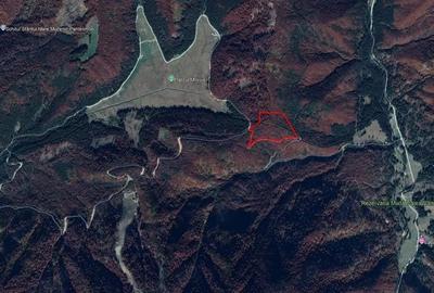 Teren de vanzare in apropiere de Transfagara?an ?i Valea Valsanului. - 2