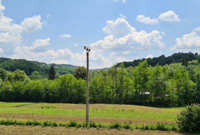 Teren de 7000 mp, în Ștubeie Tisa - 10