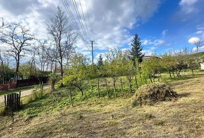 Teren de 1246 mp, în Rediu - 6