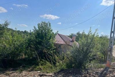 Casa cu 1700 mp de teren in Bogdanesti - 2