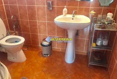 Spațiu comercial, de 254 mp, în Cetate - 14