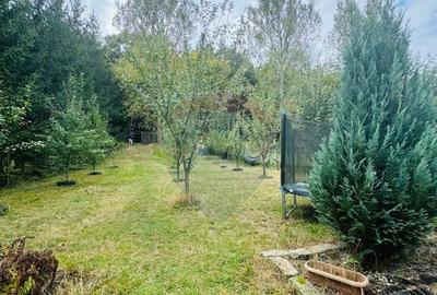 Teren Drumul Buzdului cu o cabana mica - 3