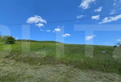 Teren de 5000 mp, în Ciurila - 1