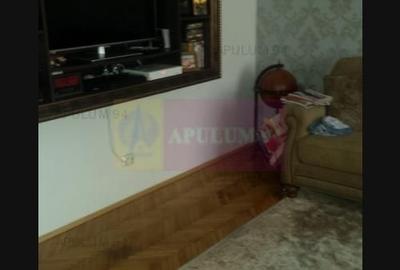 Vanzare vila Drumul Sarii - 11