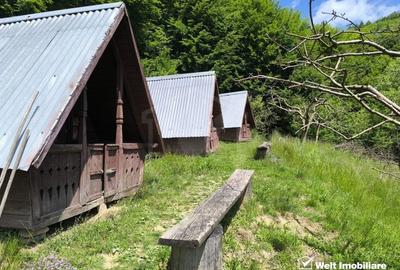 Casa de vacanta, cu lac, 5640 mp teren, Huta, com. Chiuiesti, jud. Cluj Casa de vacanta, cu lac, 5640 mp teren, Huta, com. Chiuiesti, jud. Cluj - 24