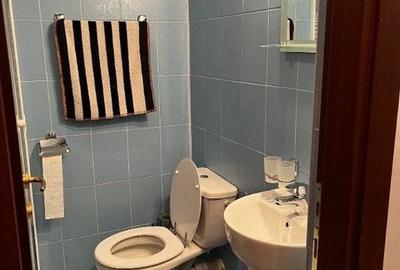 Apartament 3 Camere de Inchiriat - Zona Mihai Bravu - 150 mp - 10