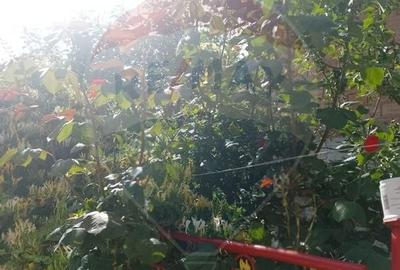 Vila cu 4 camere, cu gradina, Dacia! - 12