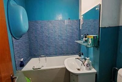 Vanzare apartament 3 camere Tineretului - 11