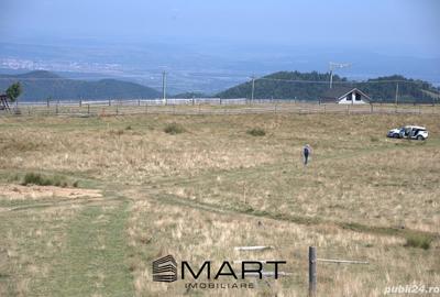 Teren Construcții intravilan de 1500 mp, în Păltiniș - 4