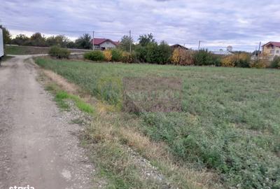 Teren de 2062 mp, în Manasia - 2