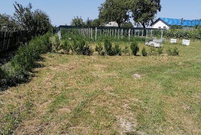 Teren intravilan in Barcanesti-centru, sat Candesti, Neamt, 3000mp - 8