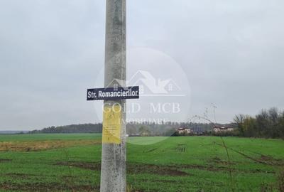 Teren Branesti -Romancierilor - 7