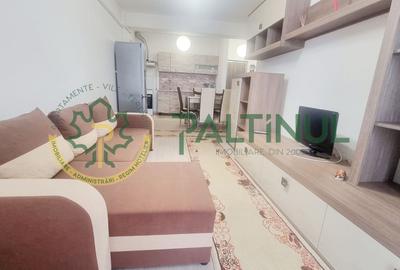 Apartament cu 2 camere semidecomandat, mobilat în Șelimbăr