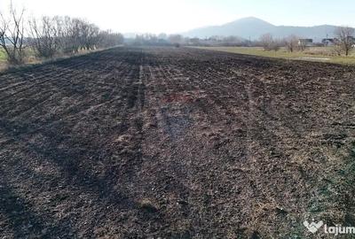 Teren de 15482 mp, în Hărman - 5