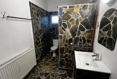 Apartament cu 2 camere semidecomandat în Clinceni - 1