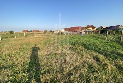 Teren Construcții intravilan de 400 mp, în Șura Mică - 10