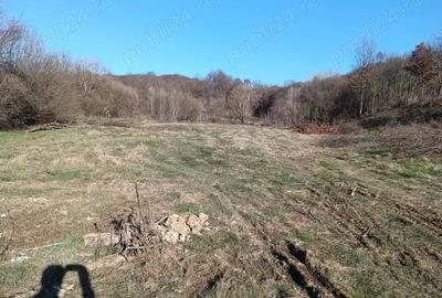 Teren de 5000 mp, în Central - 9