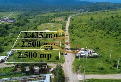 Teren de 2500 mp, în Vest