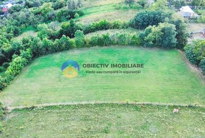 TEREN intravilan  3511 mp - BĂLȚĂTEȘTI - 9