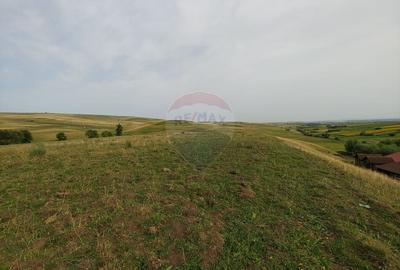 Teren agricol intravilan de 300000 mp, în Stroiești - 25