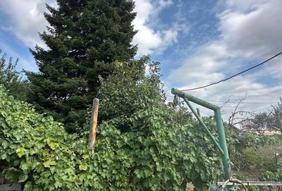 Casă cu 5 camere cu Teren 577 Mp în Frumușani - 1
