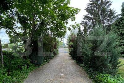 2 CASE, 300mp/700mp, teren 30 ari, zona strada Botizului - 14