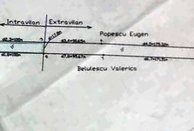 TEREN INTRAVILAN ȘI EXTRAVILAN BAIA DE FIER - 9