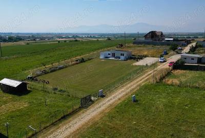 Teren Intravilan - Constructie Casa - Halchiu - Brasov