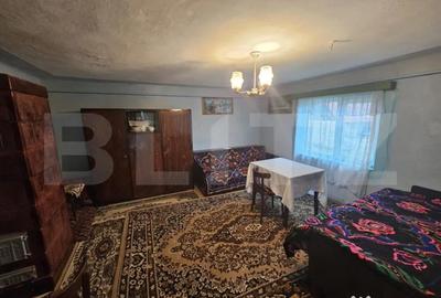 Casă cu 3 camere cu Teren 4313 Mp în Central - 9