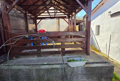 Casă cu 3 camere cu Teren 2000 Mp în Deleni - 6