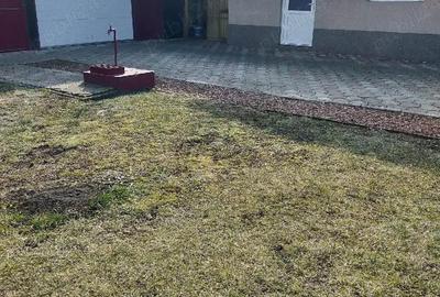 Casă cu 2 camere cu Teren 1080 Mp în Șofronea