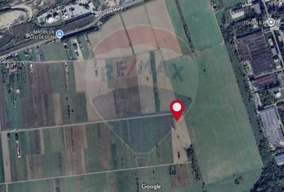 Teren agricol intravilan de 1180 mp, în Sud - 16