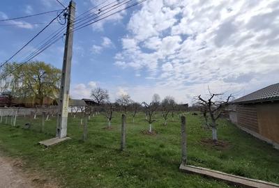 Teren Construcții intravilan de 2000 mp, în Răucești - 3