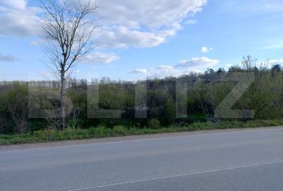 Teren extravilan de 99930 mp, în Exterior Vest - 1