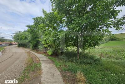 Teren de 4200 mp, în Sâncel