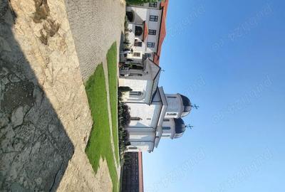 Teren de 250000 mp, în Comana - 5