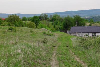 Teren intravilan 1800 mp, Centura-Ciurbesti-dubla deschidere - 3