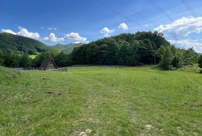 Teren de 20000 mp, în Reghin - 3