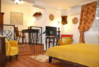 Oaza de liniste! Inchiriere Garsoniera tip studio cu acces curte - ca acasa. - 2