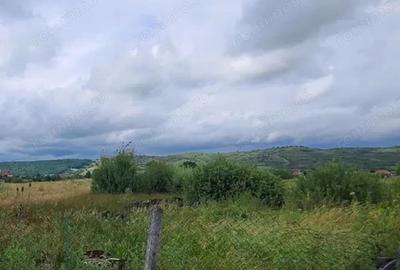 Teren de 5600 mp, în Solovăstru - 1