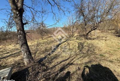 Spațiu comercial, în Central